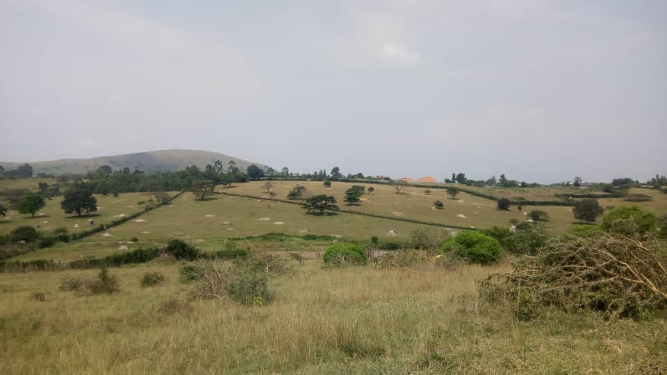 WhatsApp Image 2023-02-22 at 3.41.03 PM.jpeg